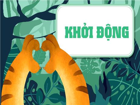 Bài giảng Toán 5 - Bài 3: Ôn tập phân số (Tiết 1)(Năm học 2024-2025)